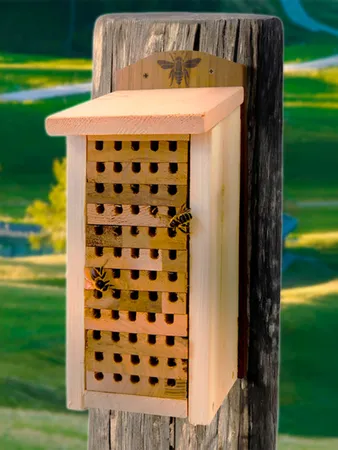 Woodlink Heavy-Duty Cedar Insect House