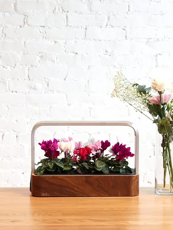 SmallGarden Indoor Seed Pod 