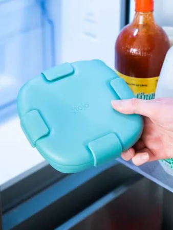 STOJO Collapsible Sandwich Box