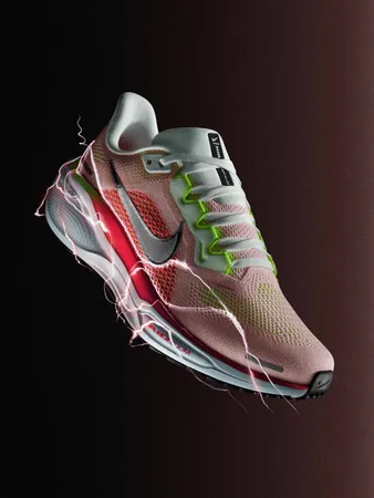 Nike Womens Pegasus 41