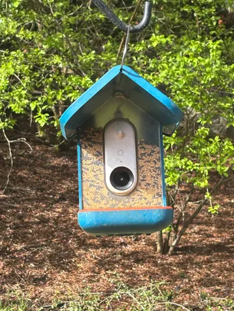 Birdbuddy PRO Solar Smart Bird Feeder