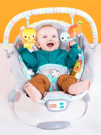 Bright Starts Comfy Baby Bouncer
