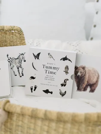 Baby's Tummy Time Book Box Set