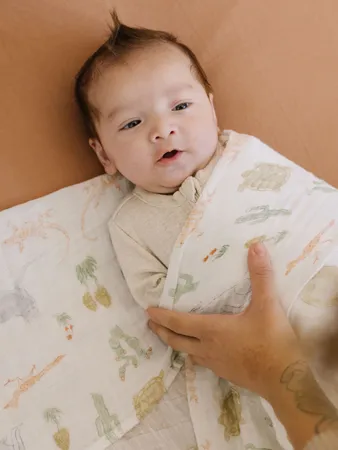 Little Unicorn Swaddle Blankets