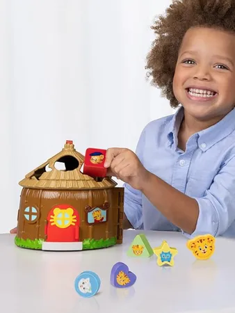 Daniel Tiger's Shape Sorter Toy