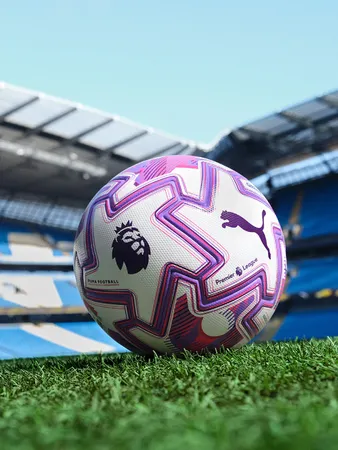 PUMA Premier League Soccer Ball