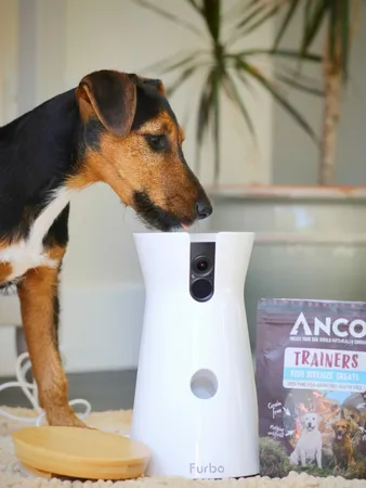 Furbo 360° Dog Camera
