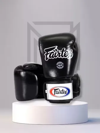 Fairtex Muay Thai Boxing Gloves